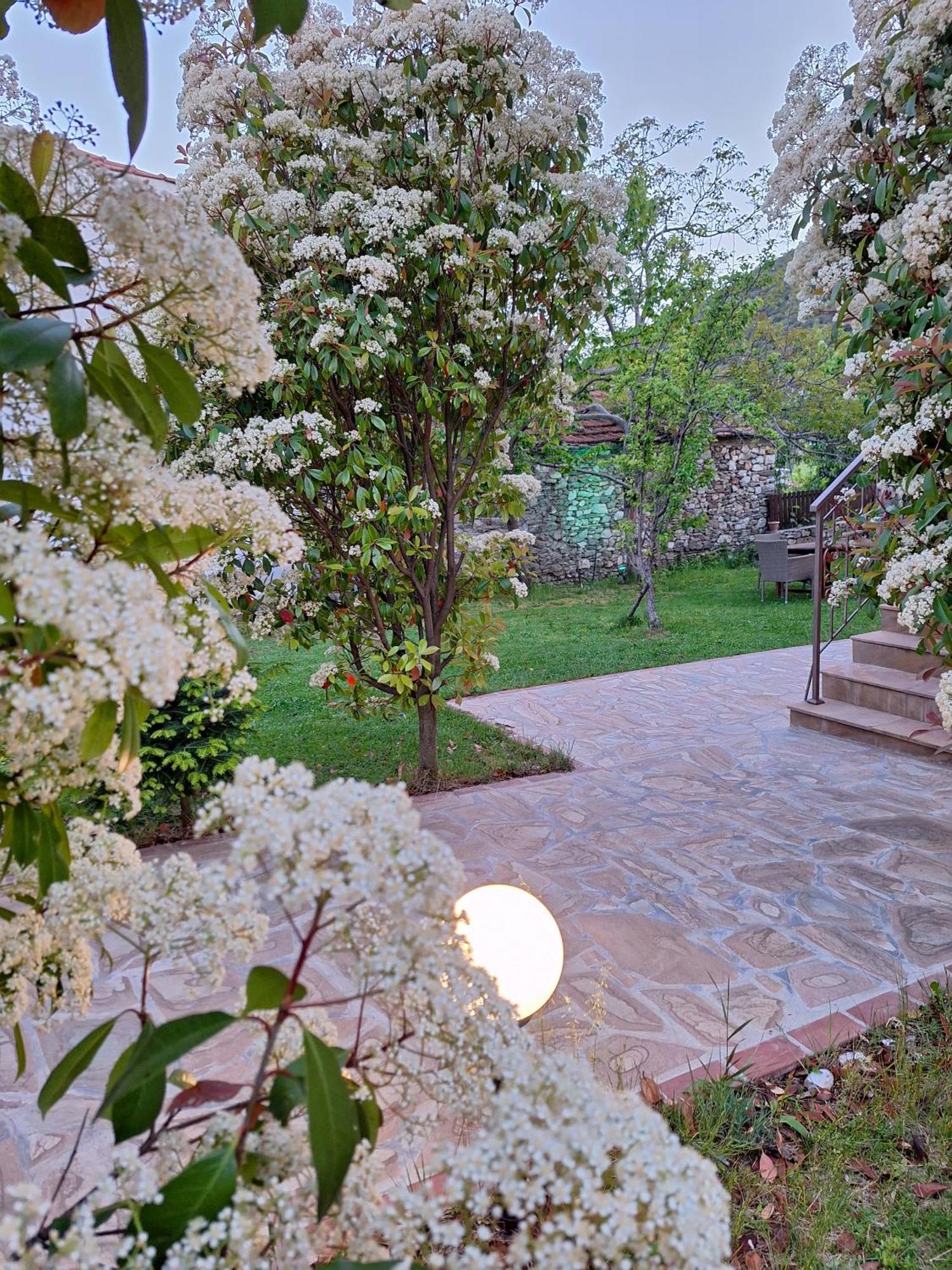 Country House On Mount Olympus Karia  Eksteriør bilde